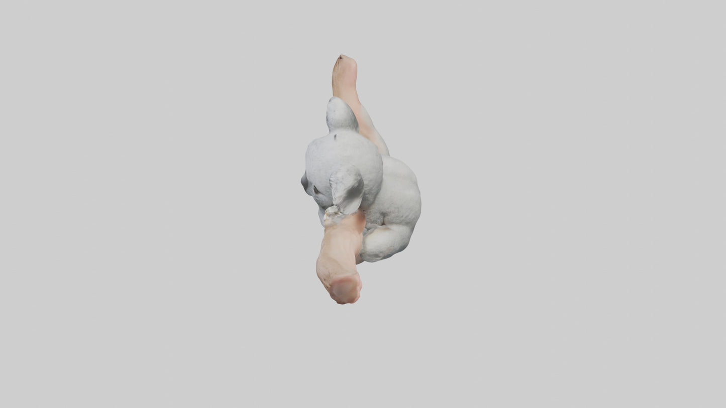3D model Babykoala Model 1 VR / AR / low-poly