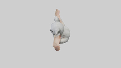 3D model Babykoala Model 1 VR / AR / low-poly