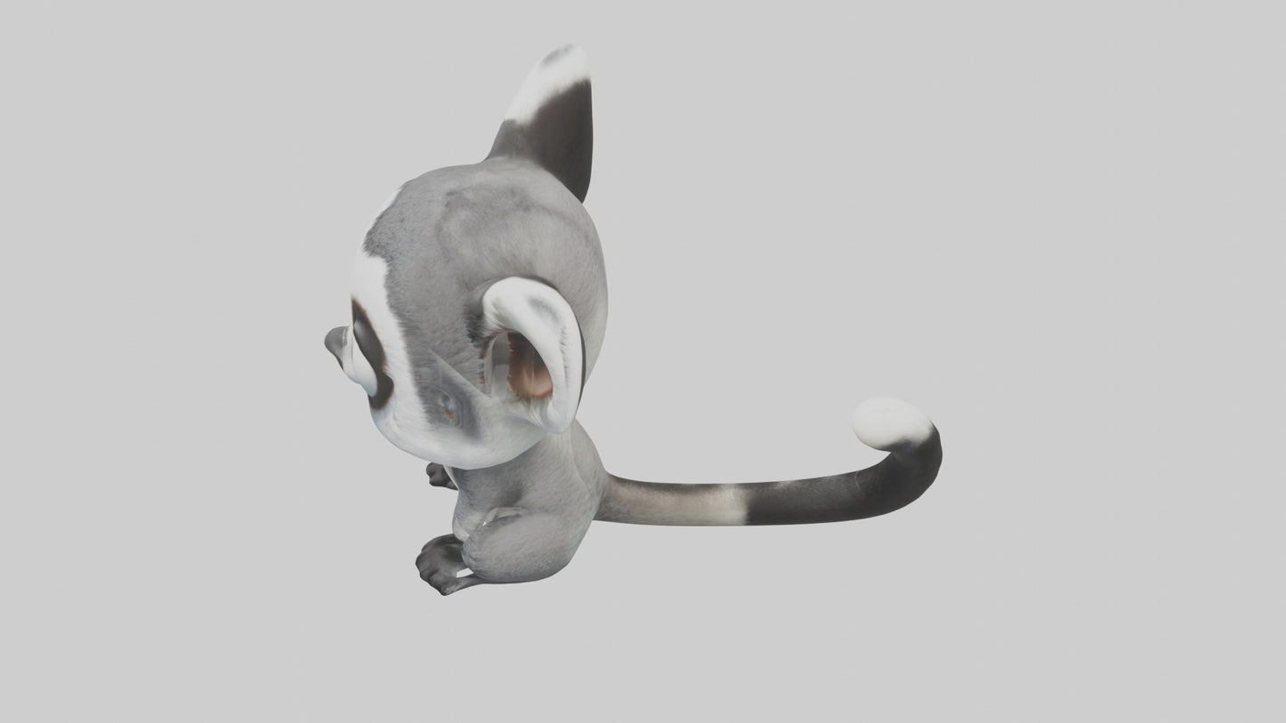 3D model Babylemur Model 1 VR / AR / low-poly