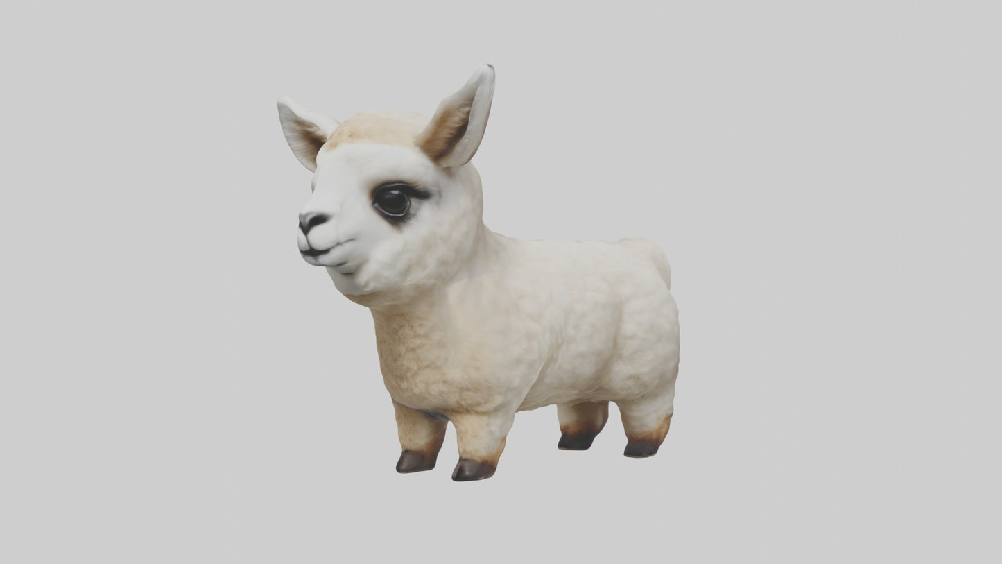 3D model Babyllama Model 1 VR / AR / low-poly
