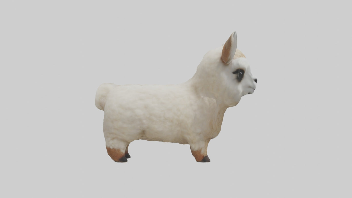 3D model Babyllama Model 1 VR / AR / low-poly