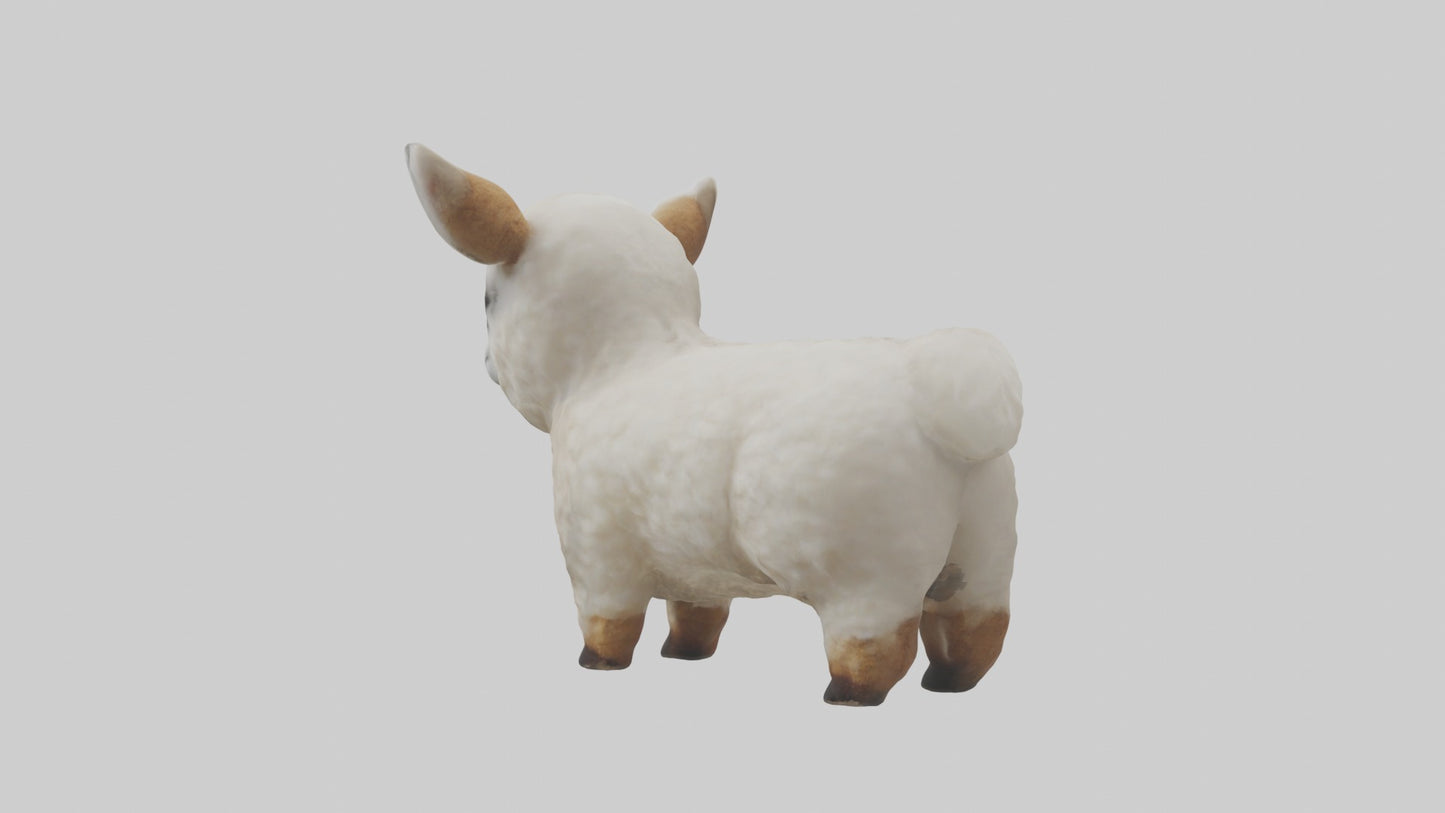 3D model Babyllama Model 1 VR / AR / low-poly