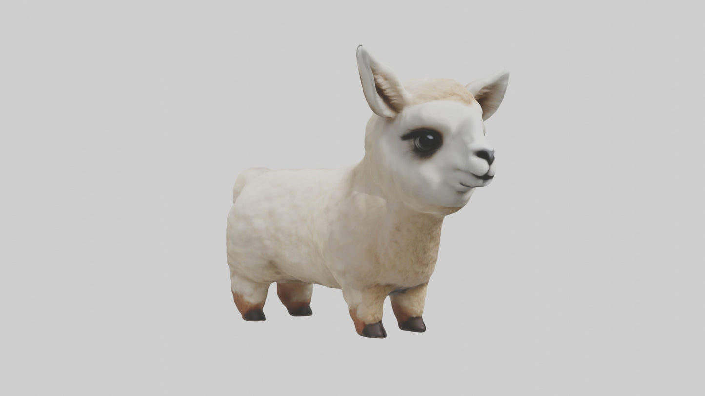 3D model Babyllama Model 1 VR / AR / low-poly