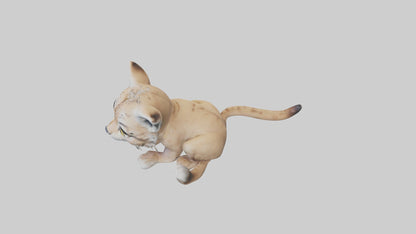 3D model Babylynx Model 1 VR / AR / low-poly