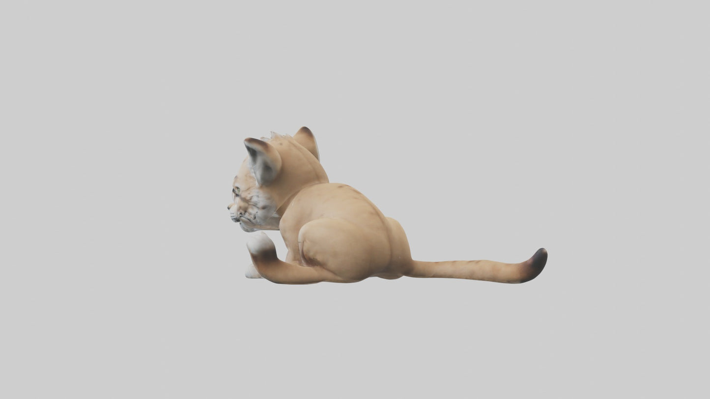 3D model Babylynx Model 1 VR / AR / low-poly