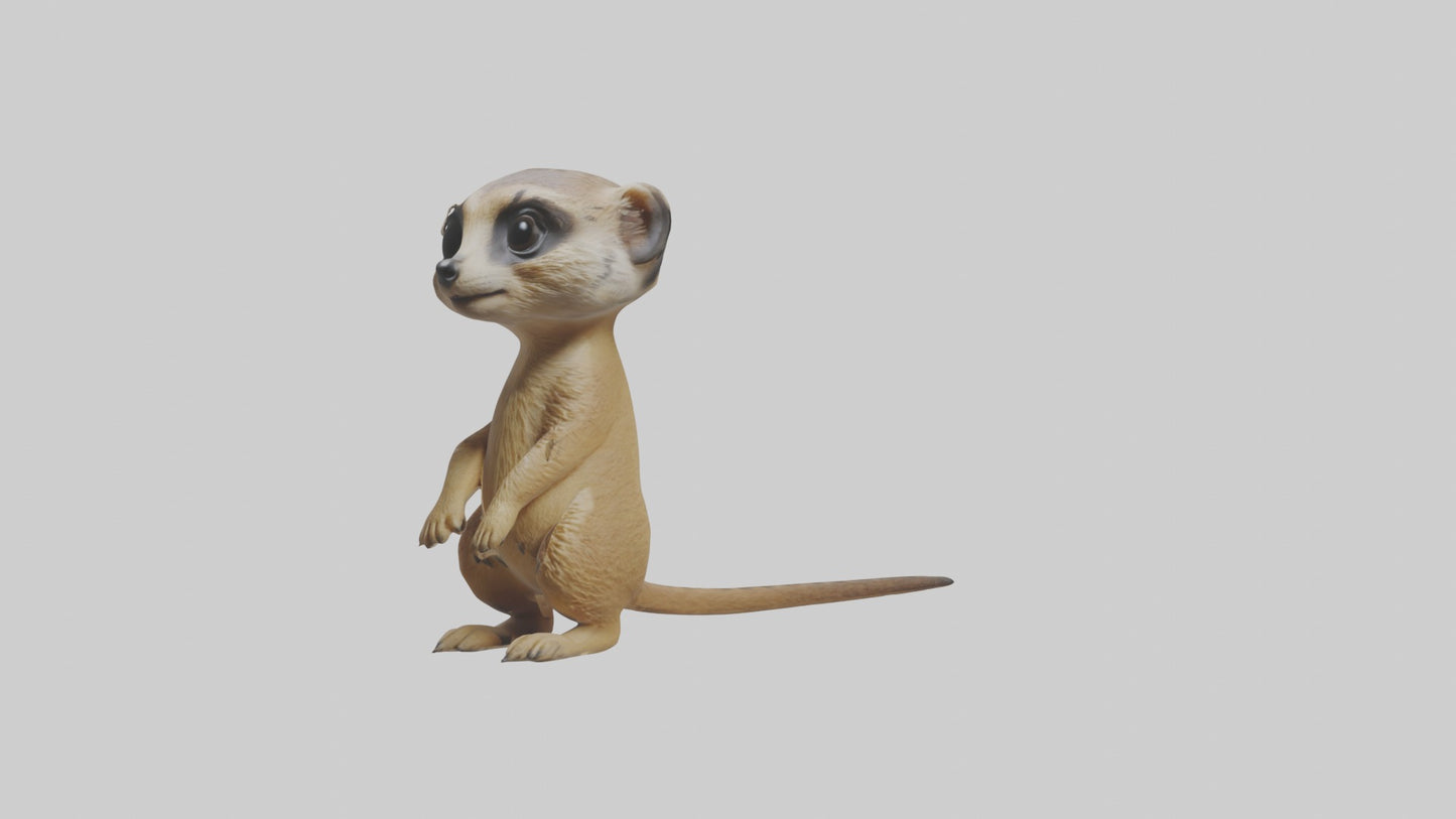 3D model Babymeerkat Model 1 VR / AR / low-poly