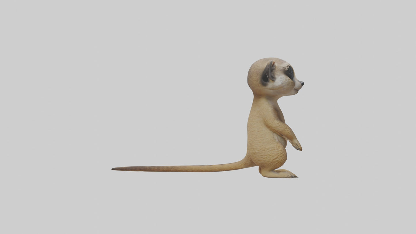 3D model Babymeerkat Model 1 VR / AR / low-poly
