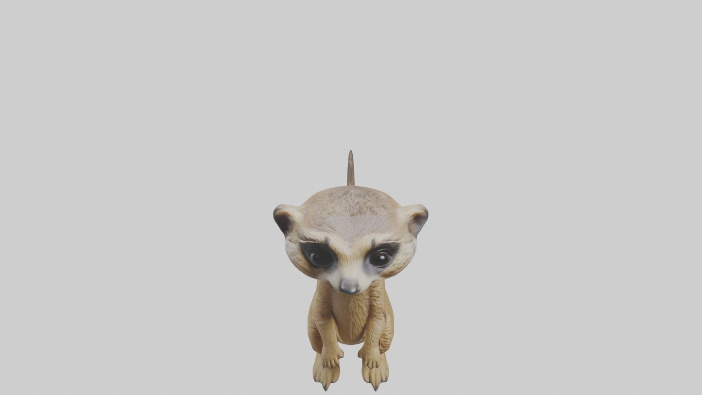 3D model Babymeerkat Model 1 VR / AR / low-poly