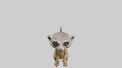 3D model Babymeerkat Model 1 VR / AR / low-poly