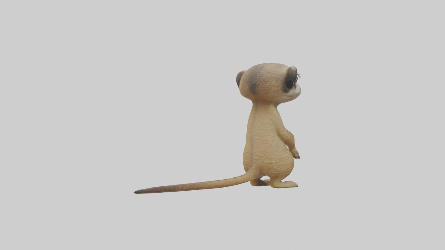 3D model Babymeerkat Model 1 VR / AR / low-poly