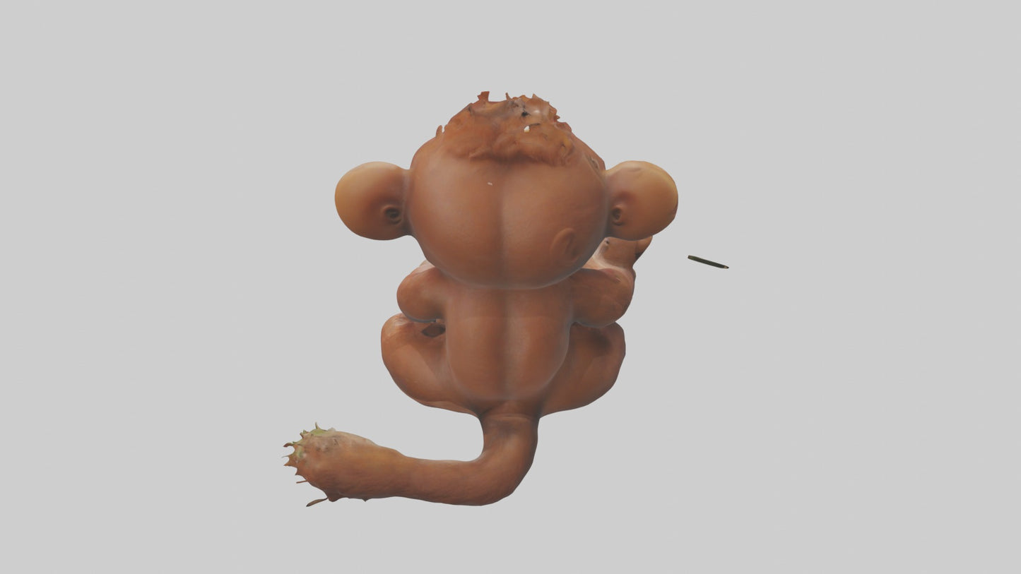 3D model Babyorangutan Model 1 VR / AR / low-poly