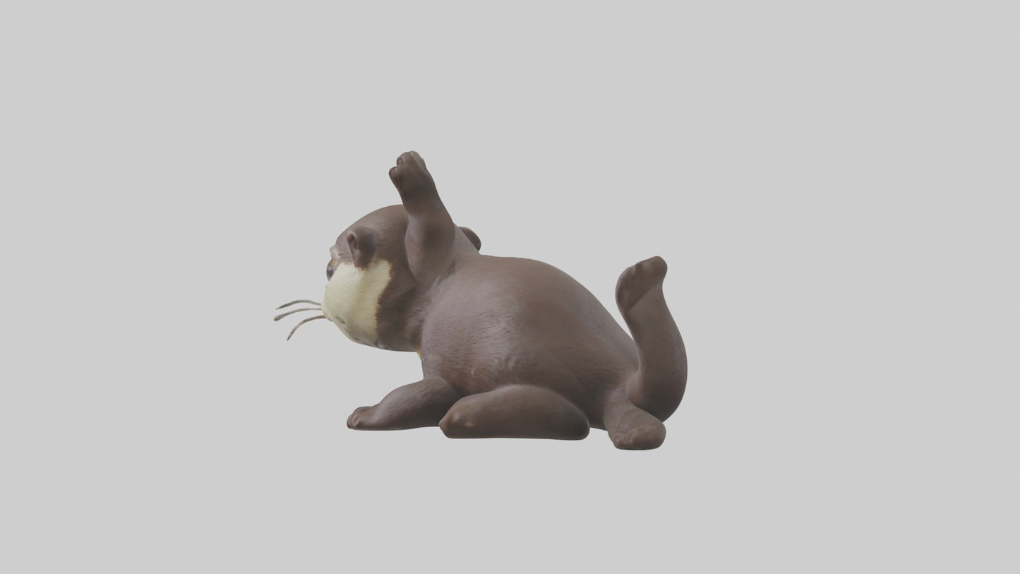 3D model Babyotter Model 1 VR / AR / low-poly