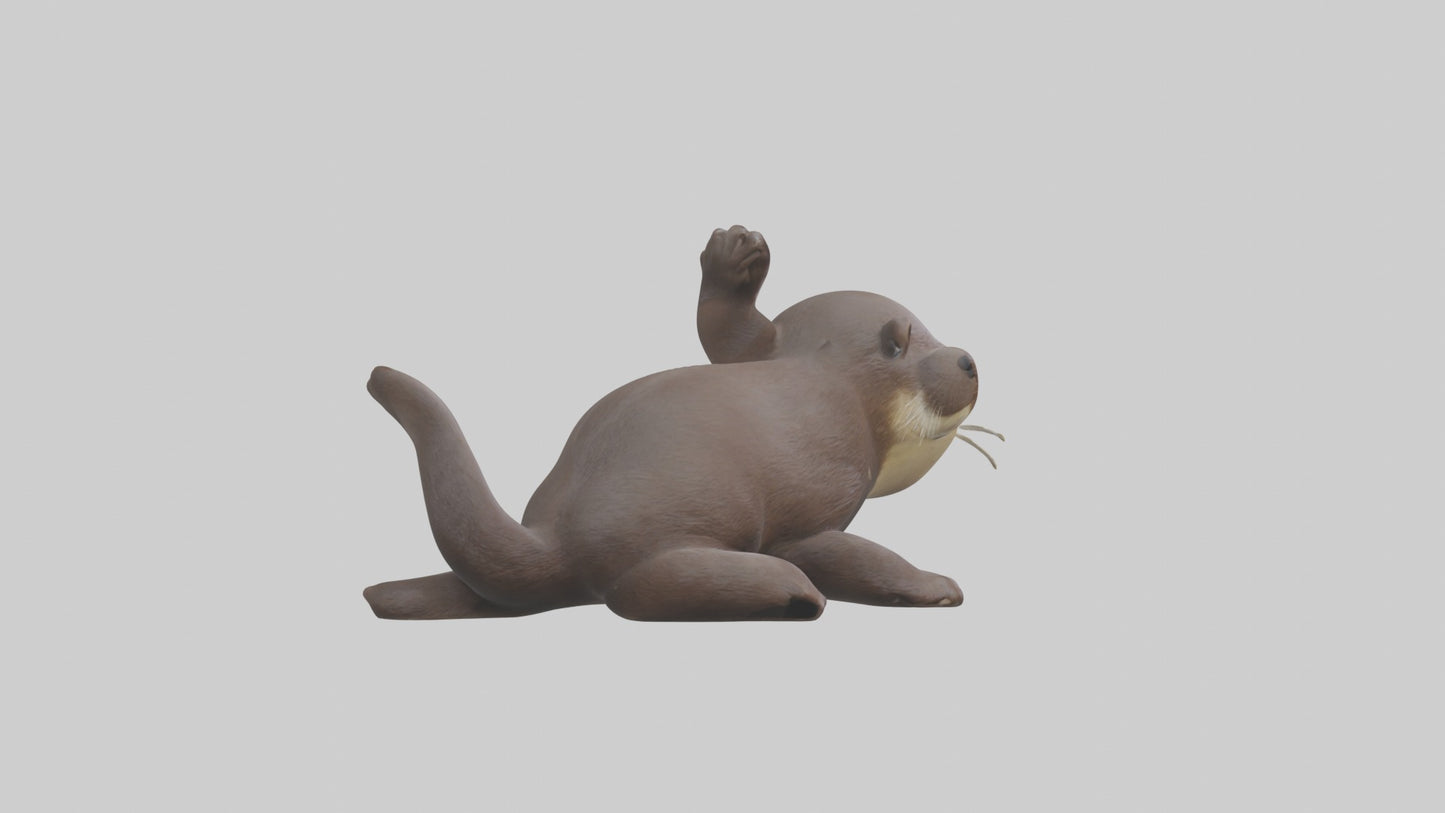 3D model Babyotter Model 1 VR / AR / low-poly