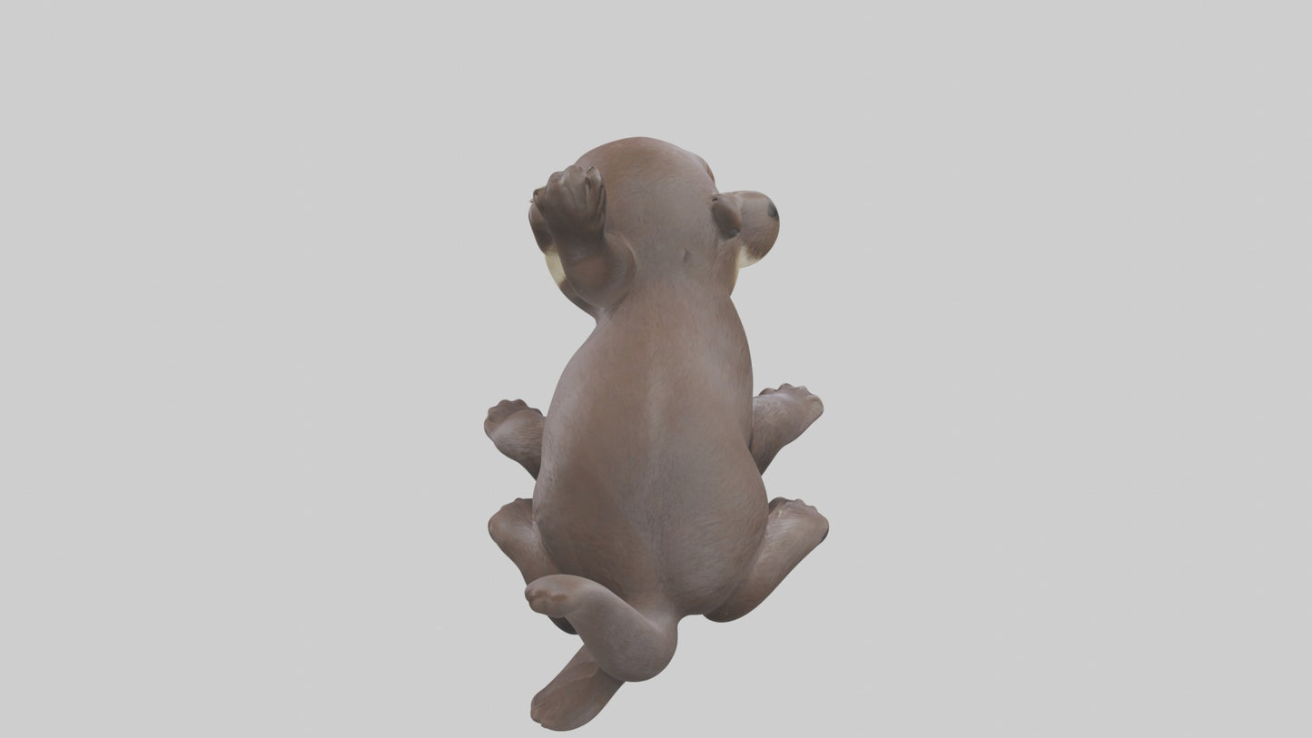 3D model Babyotter Model 1 VR / AR / low-poly