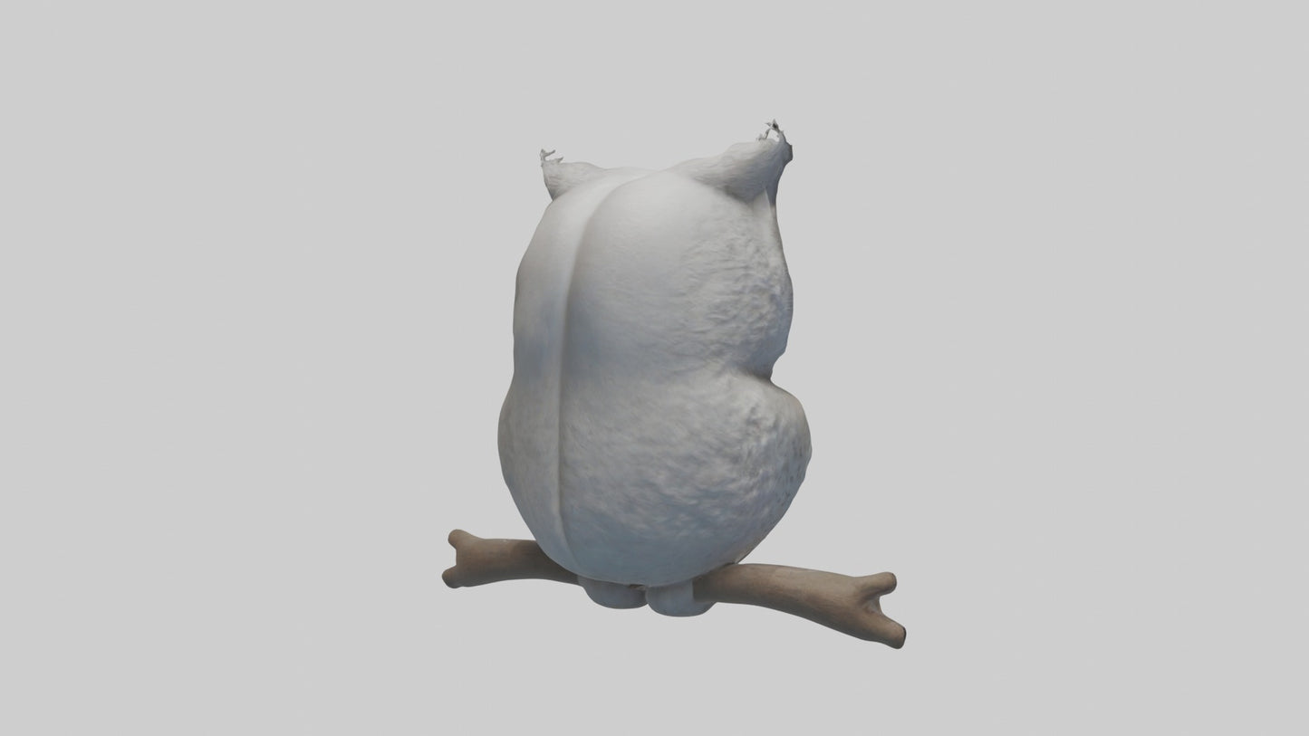 3D model Babyowl Model 1 VR / AR / low-poly