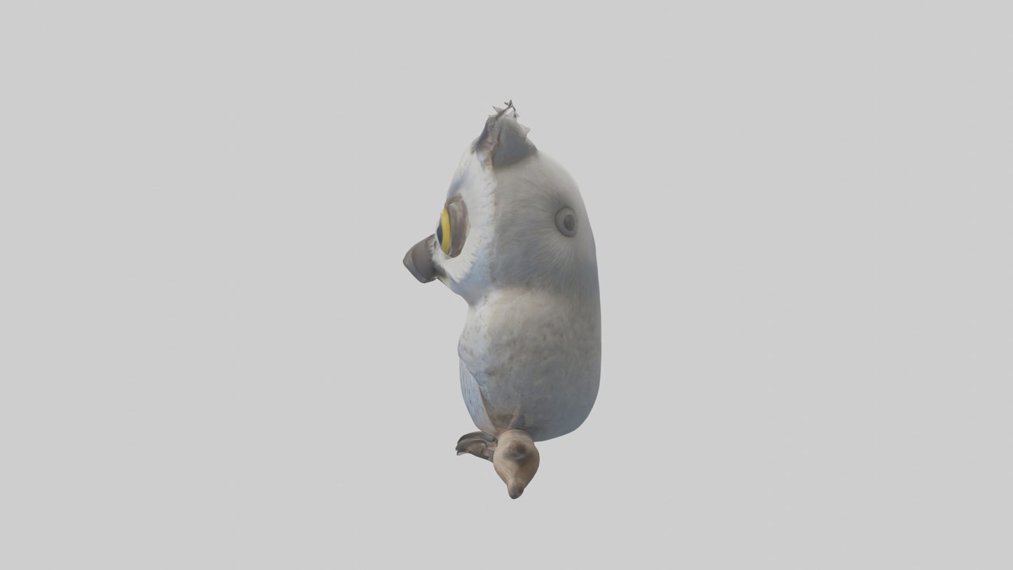 3D model Babyowl Model 1 VR / AR / low-poly