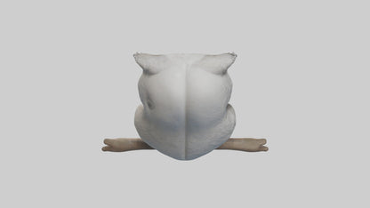 3D model Babyowl Model 1 VR / AR / low-poly