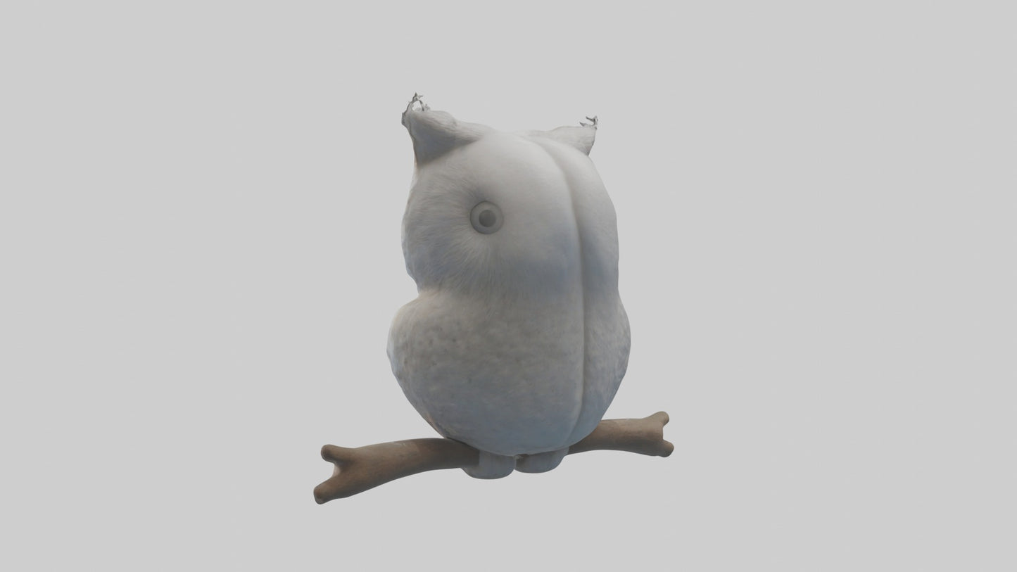 3D model Babyowl Model 1 VR / AR / low-poly
