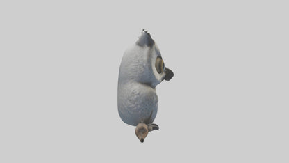 3D model Babyowl Model 1 VR / AR / low-poly