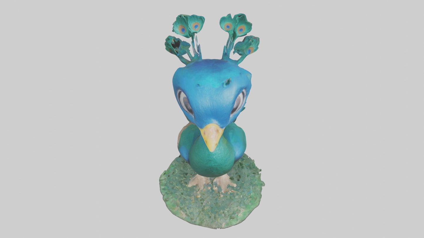 3D model Babypeacock Model 1 VR / AR / low-poly