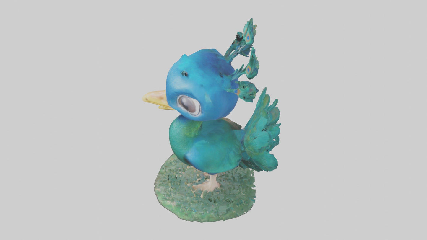 3D model Babypeacock Model 1 VR / AR / low-poly