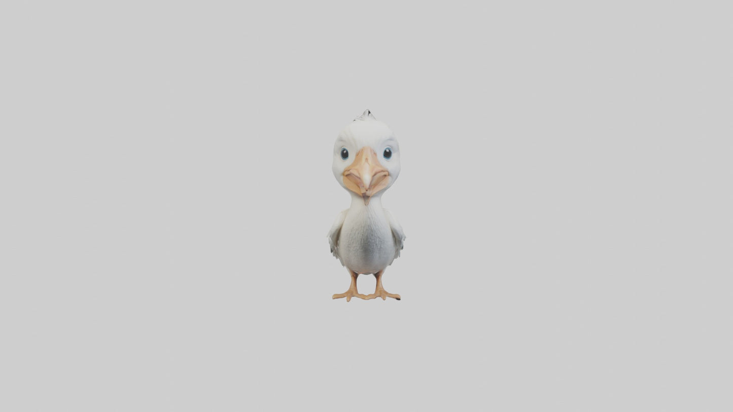 3D model Babypelican Model 1 VR / AR / low-poly