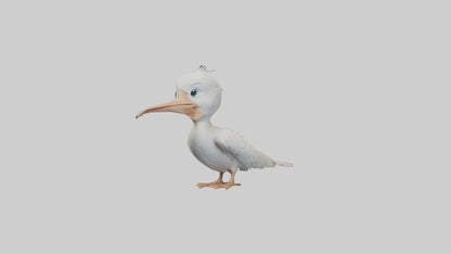 3D model Babypelican Model 1 VR / AR / low-poly