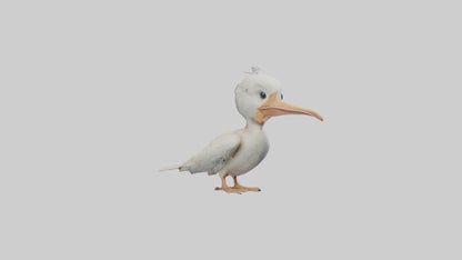 3D model Babypelican Model 1 VR / AR / low-poly