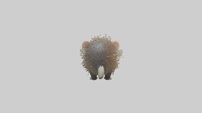 3D model Babyporcupine Model 1 VR / AR / low-poly