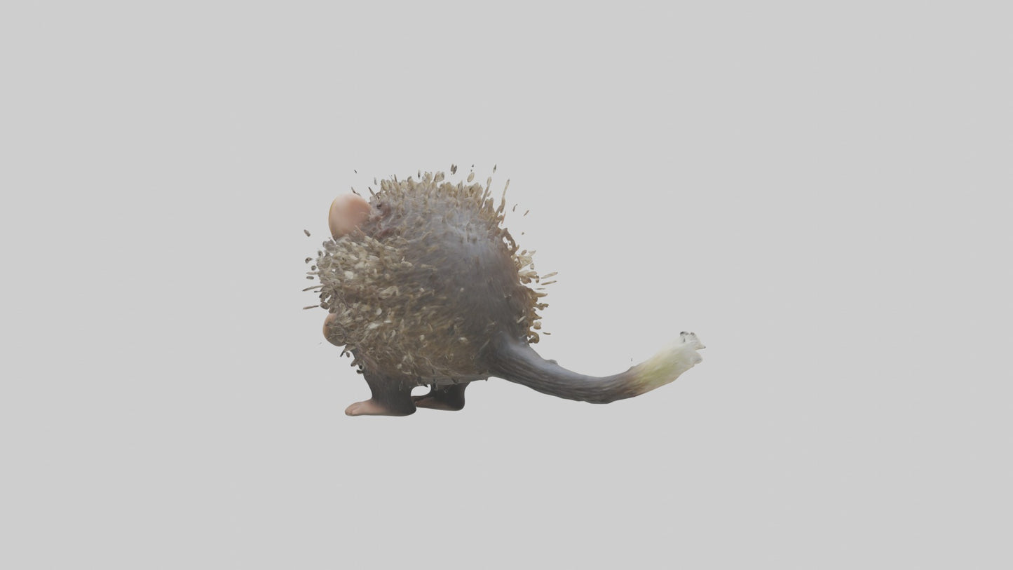 3D model Babyporcupine Model 1 VR / AR / low-poly