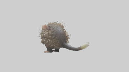 3D model Babyporcupine Model 1 VR / AR / low-poly