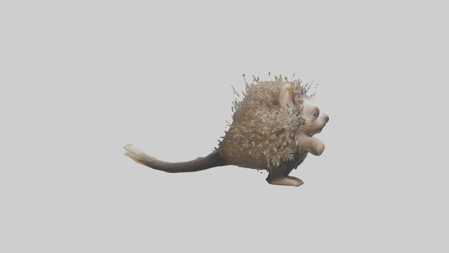 3D model Babyporcupine Model 1 VR / AR / low-poly