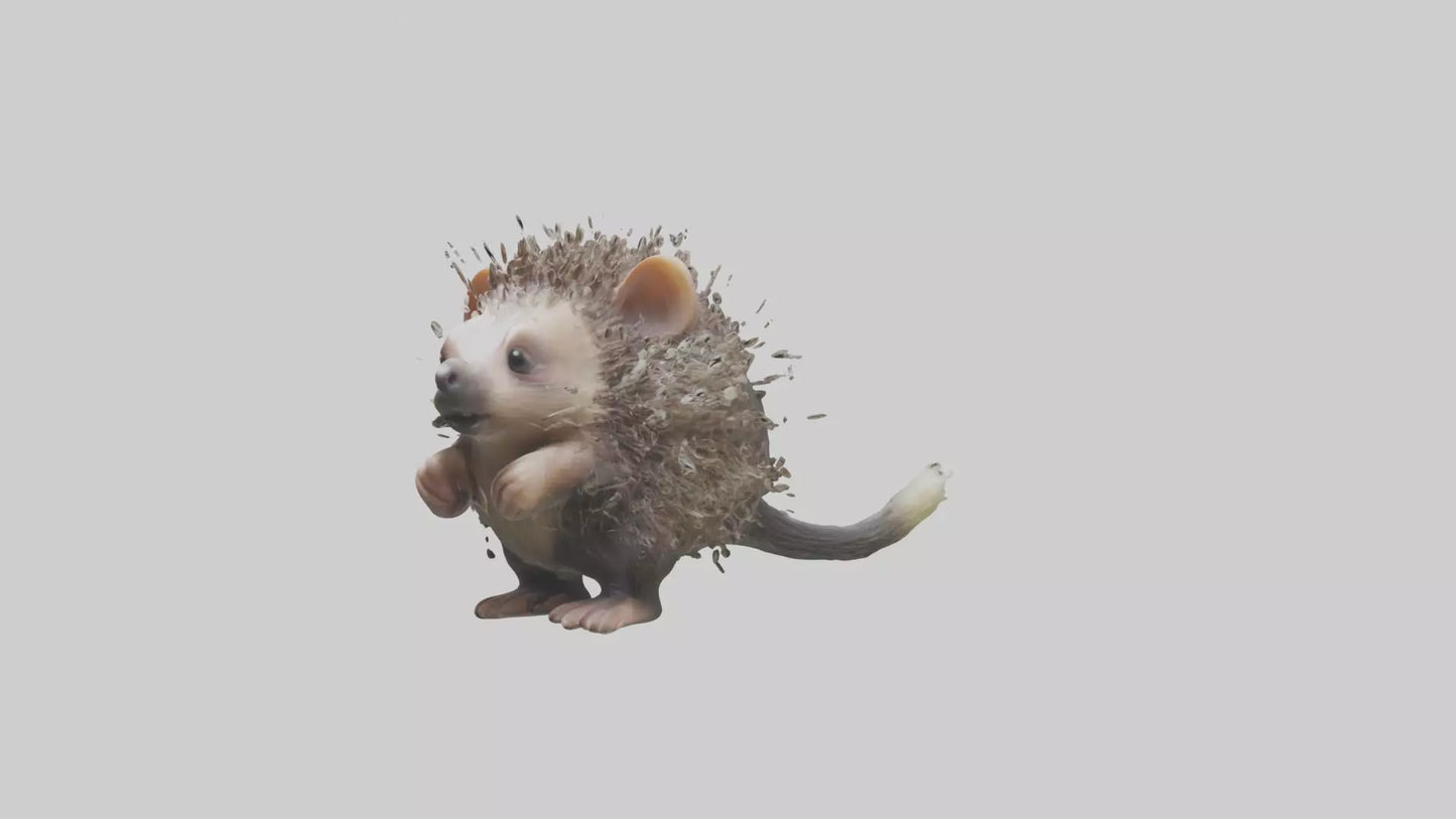 3D model Babyporcupine Model 1 VR / AR / low-poly
