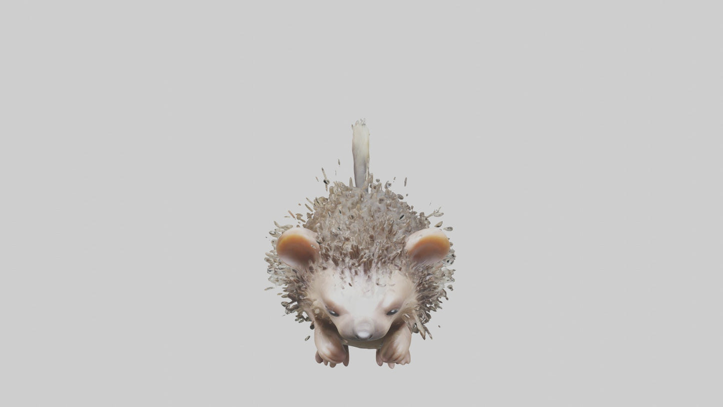 3D model Babyporcupine Model 1 VR / AR / low-poly