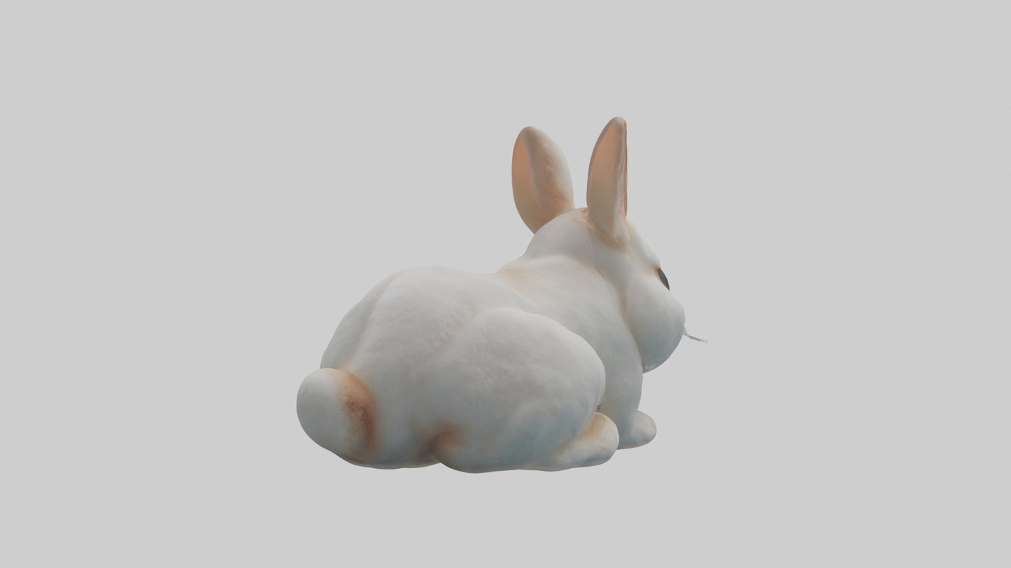 3D model Babyrabbit Model 1 VR / AR / low-poly