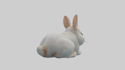 3D model Babyrabbit Model 1 VR / AR / low-poly