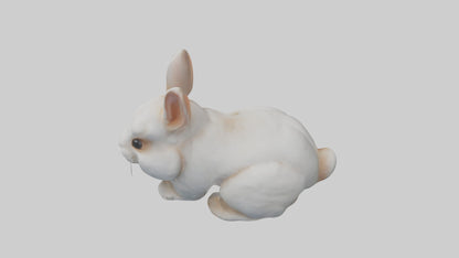3D model Babyrabbit Model 1 VR / AR / low-poly