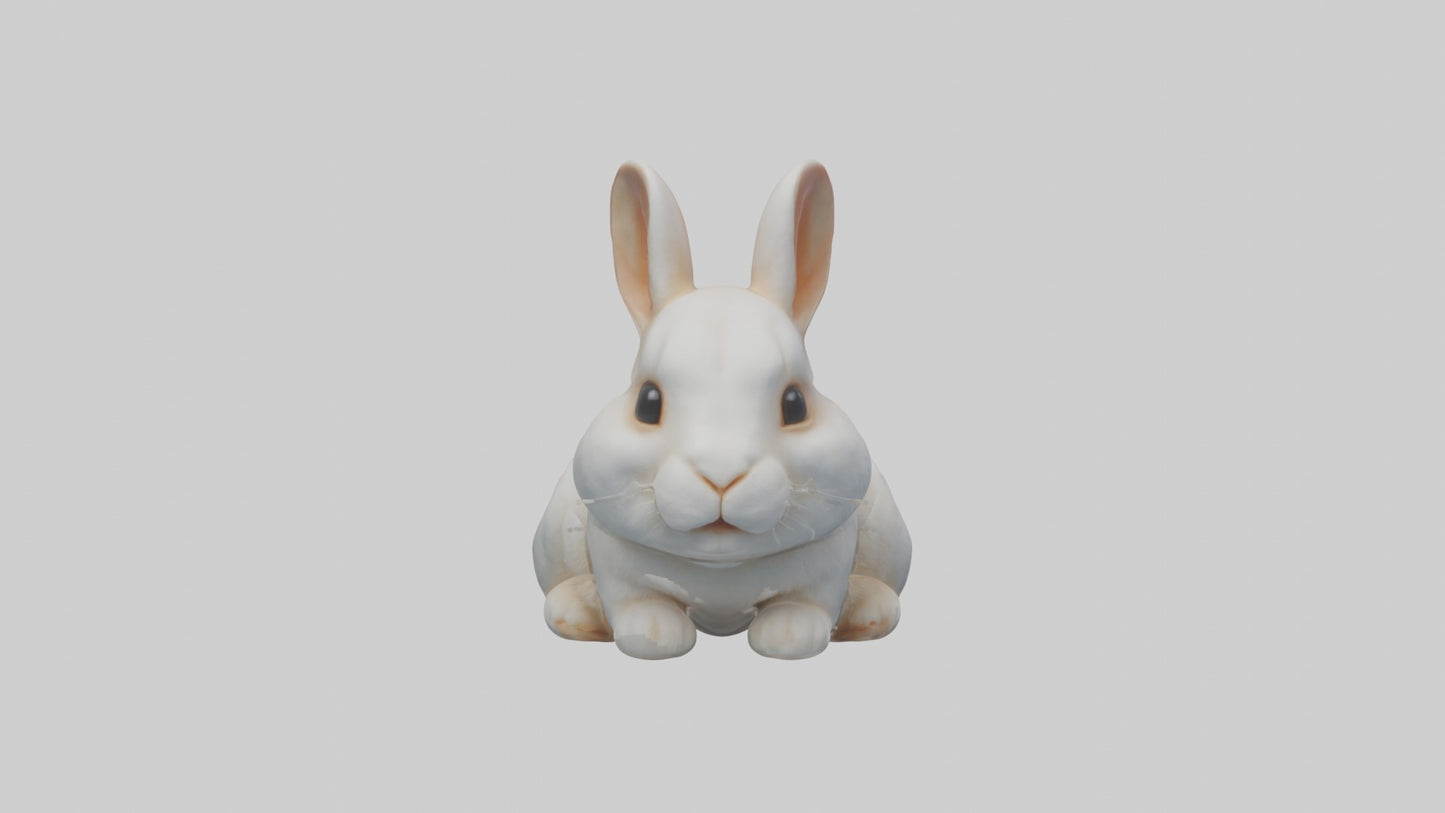 3D model Babyrabbit Model 1 VR / AR / low-poly