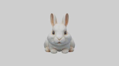 3D model Babyrabbit Model 1 VR / AR / low-poly