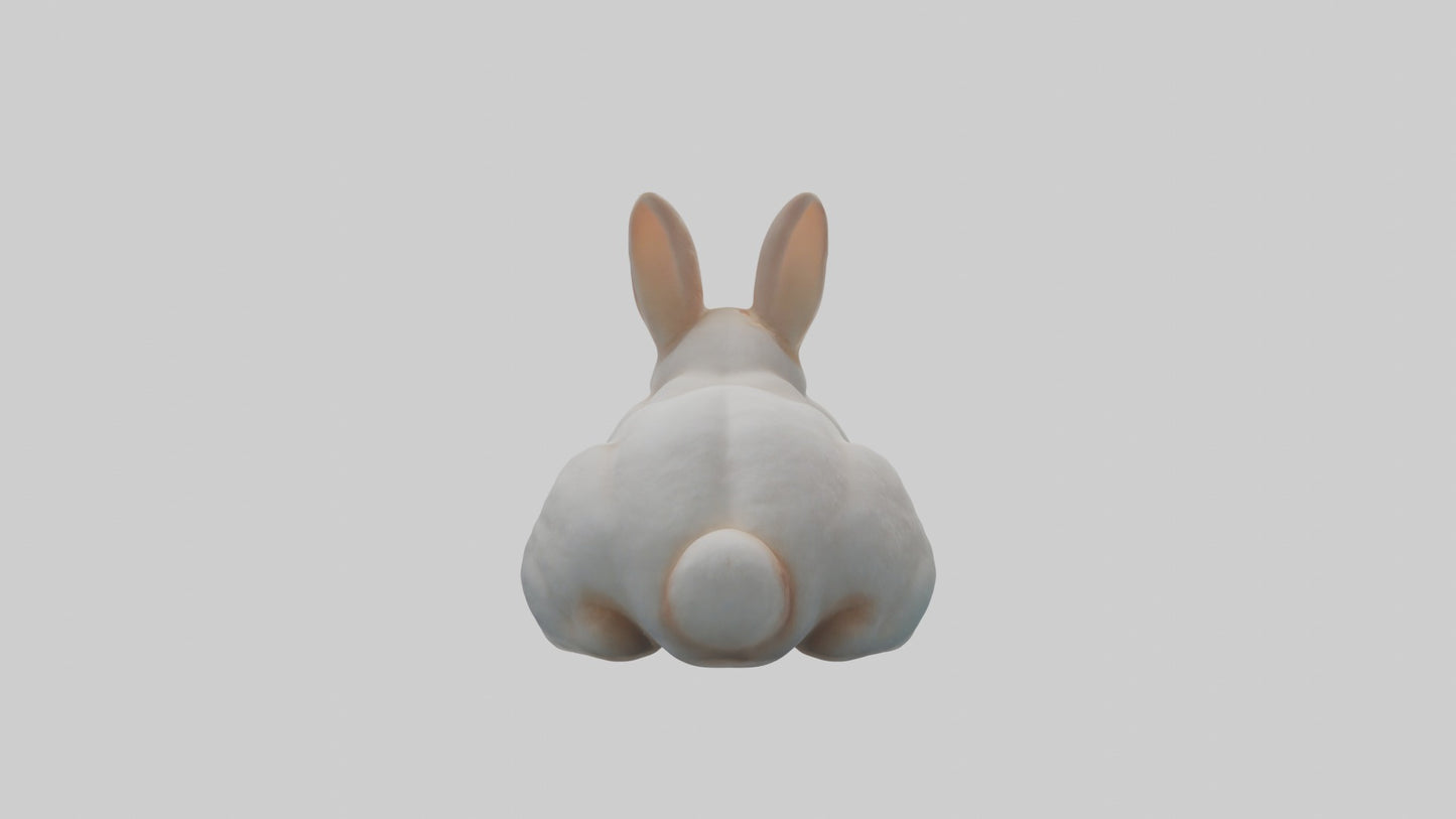 3D model Babyrabbit Model 1 VR / AR / low-poly
