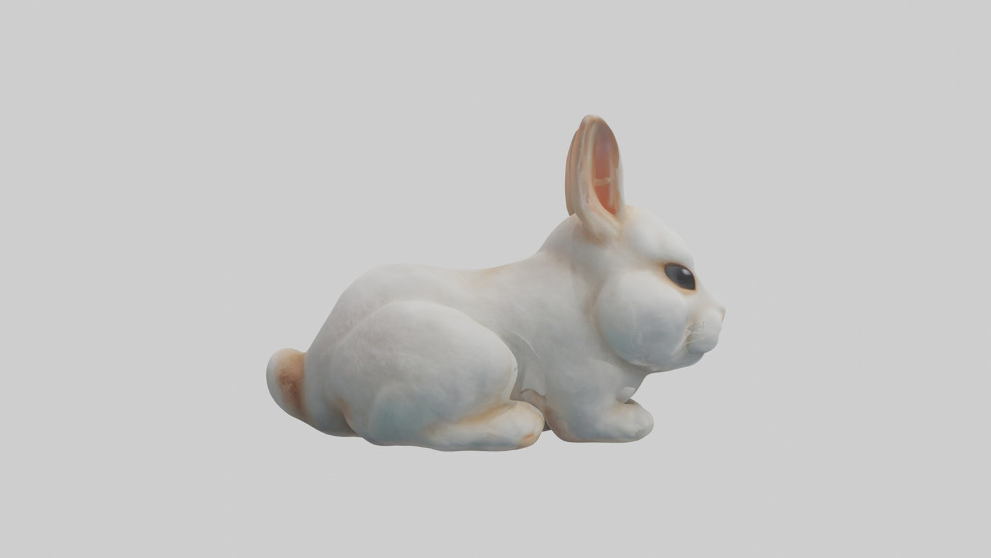 3D model Babyrabbit Model 1 VR / AR / low-poly
