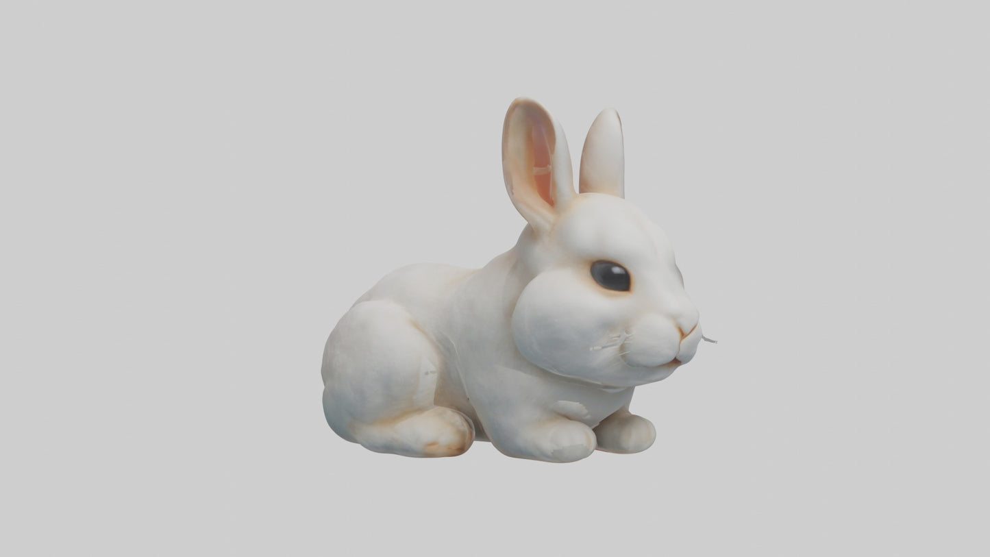3D model Babyrabbit Model 1 VR / AR / low-poly