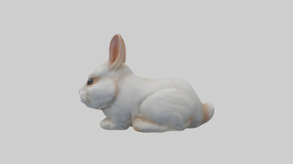 3D model Babyrabbit Model 1 VR / AR / low-poly