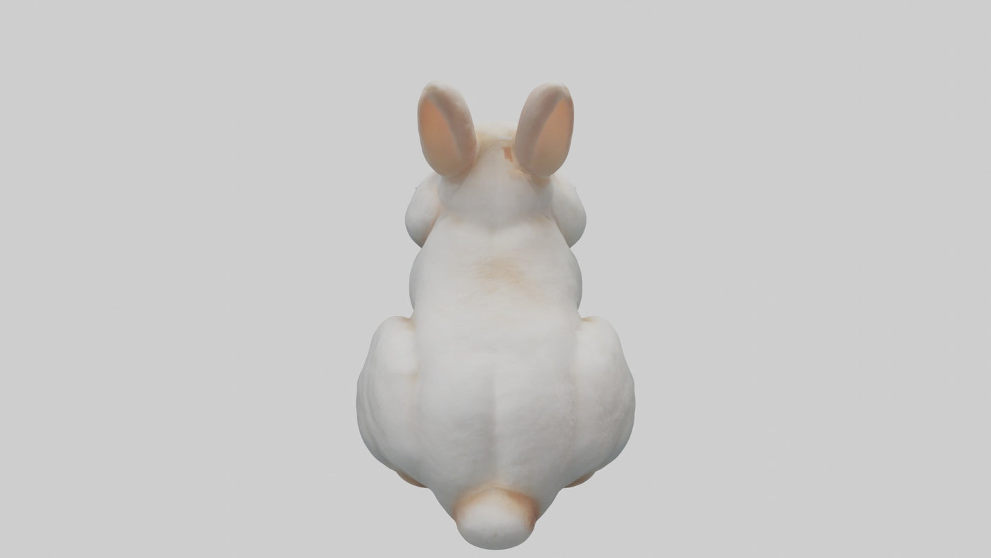 3D model Babyrabbit Model 1 VR / AR / low-poly