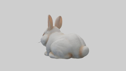 3D model Babyrabbit Model 1 VR / AR / low-poly