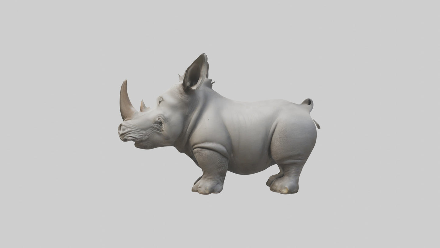 3D model Babyrhinoceros Model 1 VR / AR / low-poly