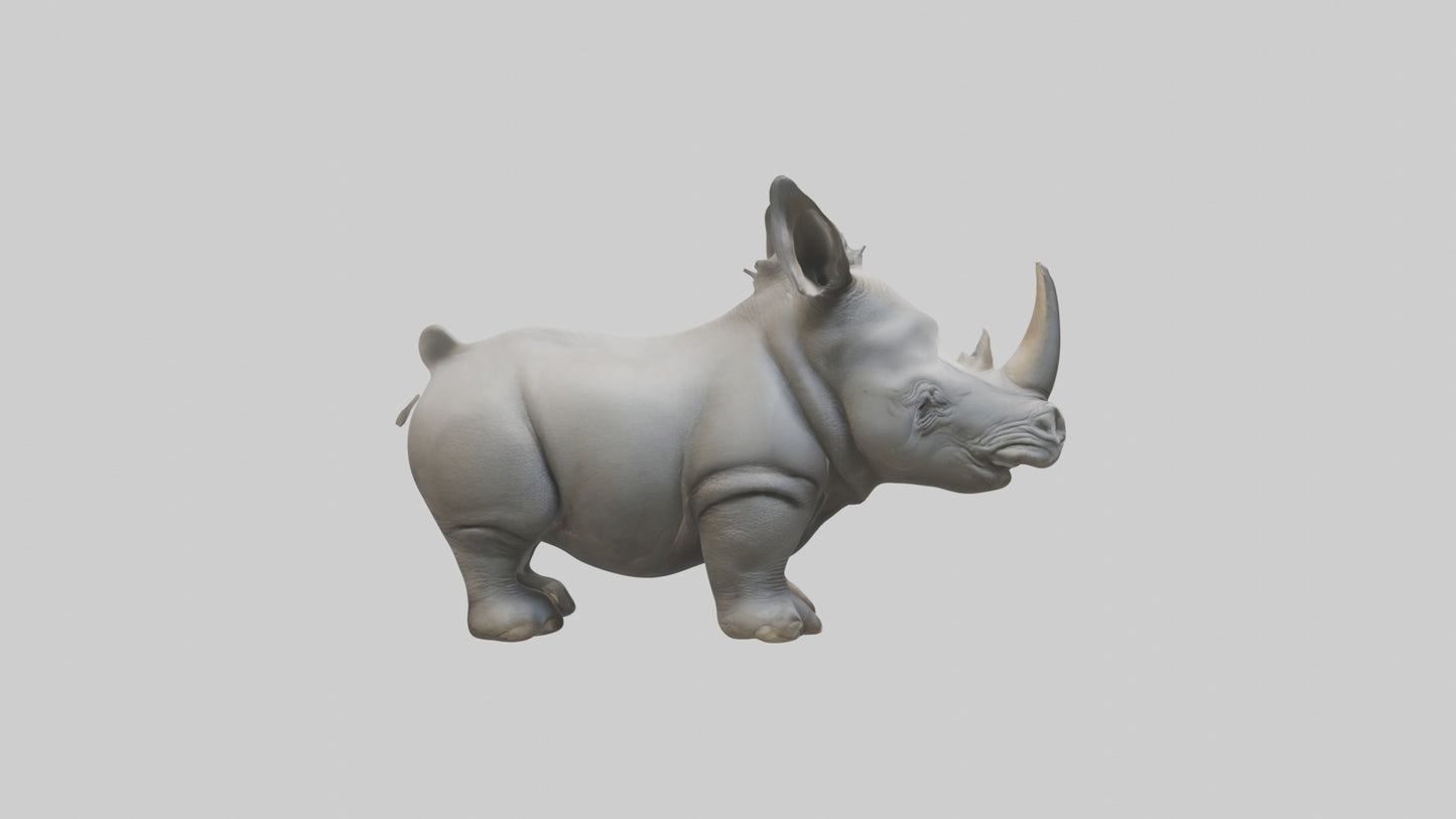 3D model Babyrhinoceros Model 1 VR / AR / low-poly