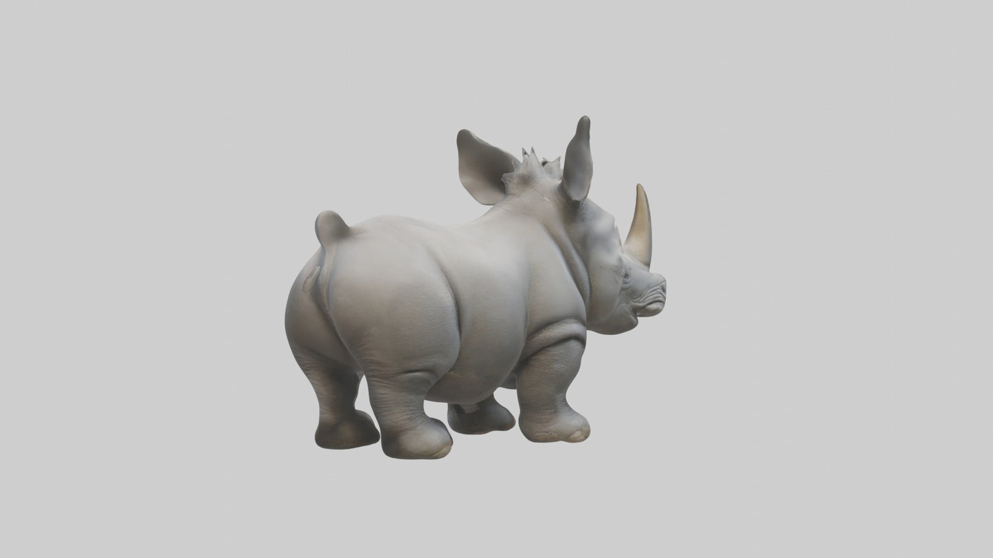 3D model Babyrhinoceros Model 1 VR / AR / low-poly