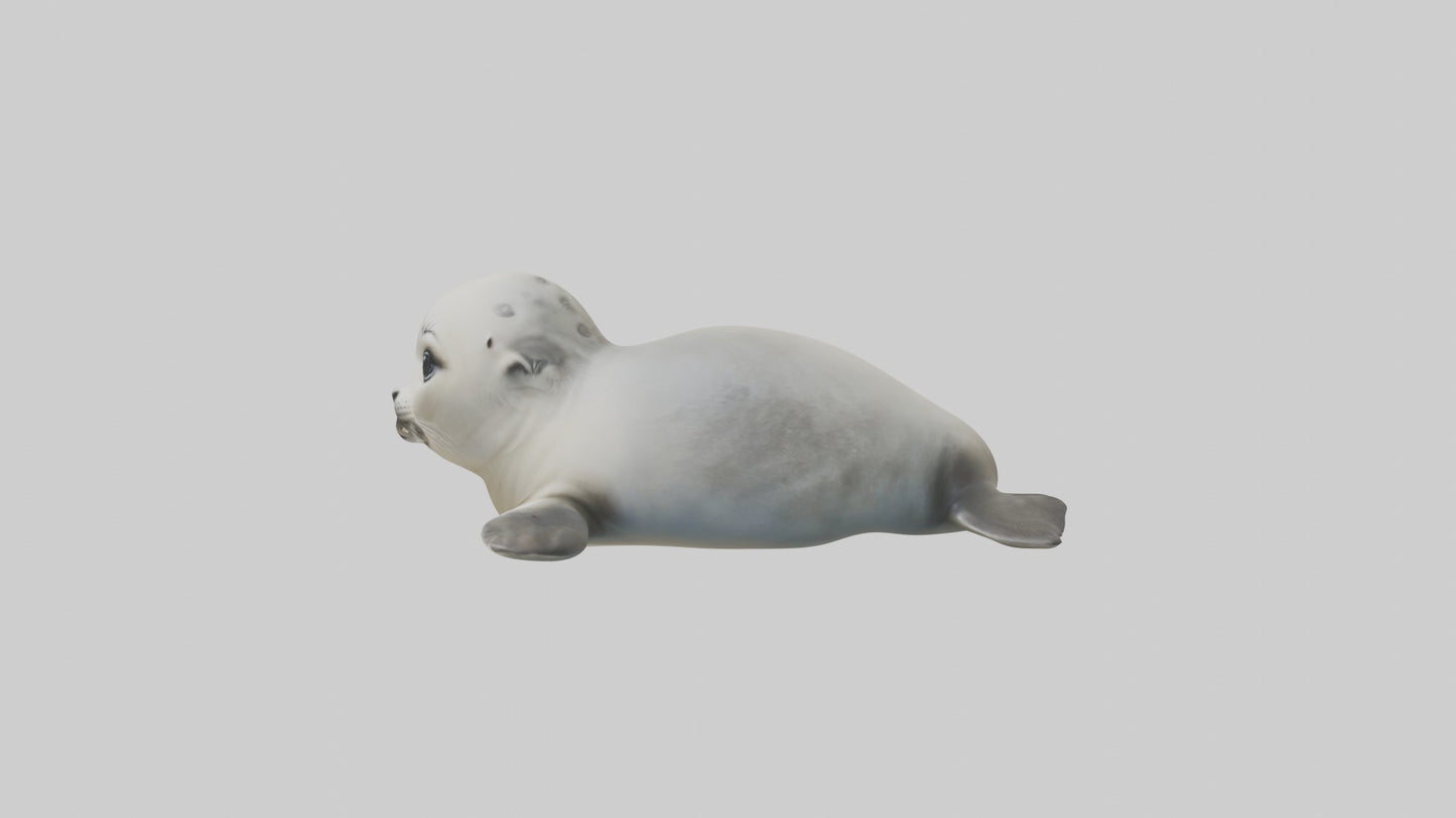 3D model Babyseal Model 1 VR / AR / low-poly