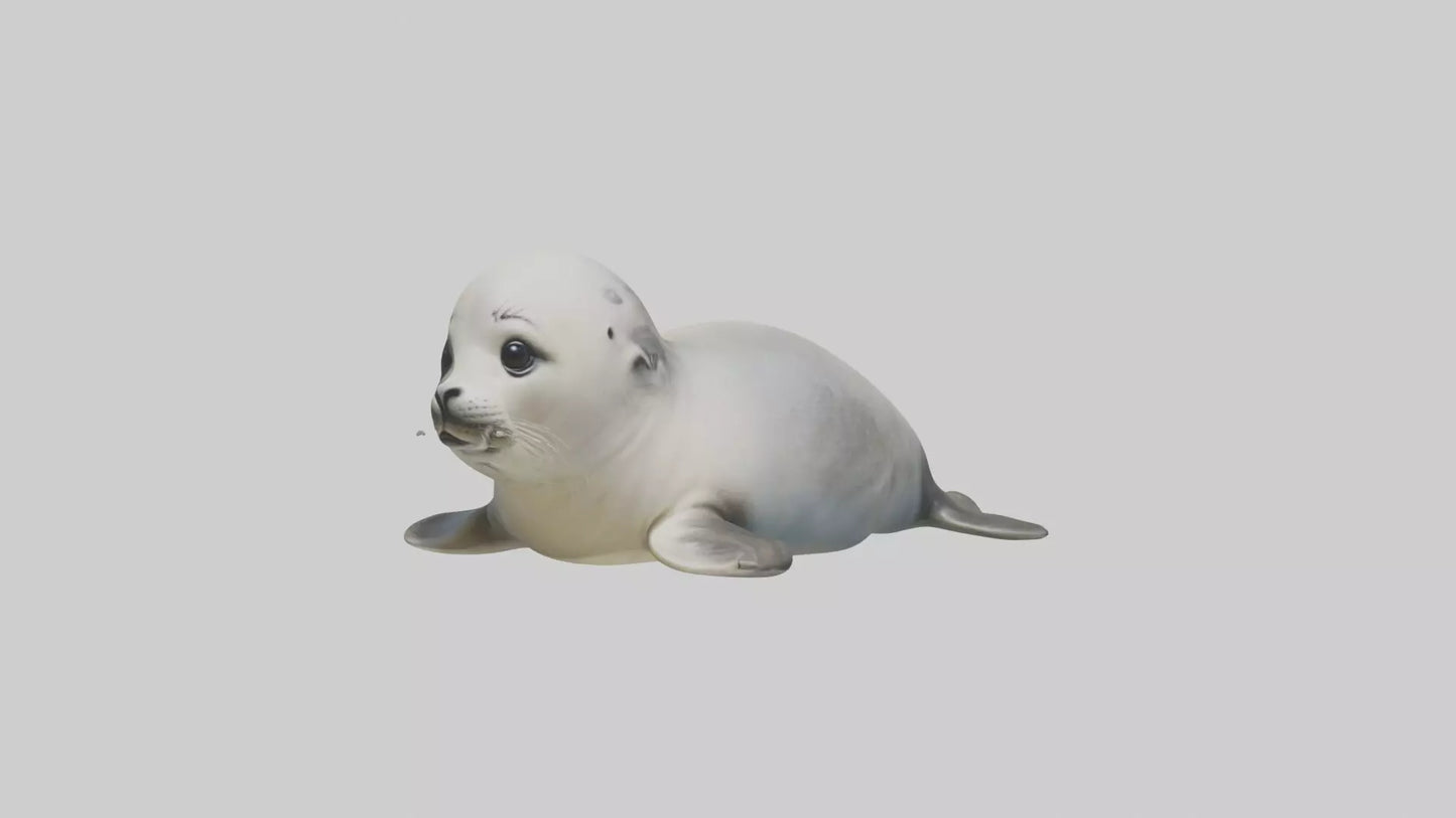 3D model Babyseal Model 1 VR / AR / low-poly